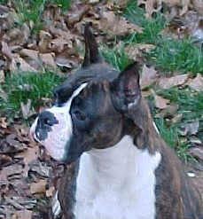 Melody 12-6-01